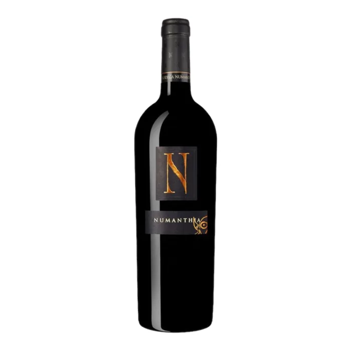 Bodega Numanthia